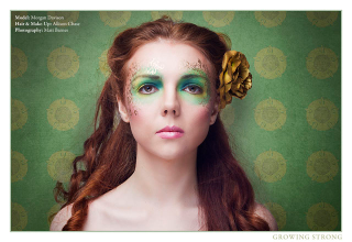 Illustration for article titled Outstanding Game of Thrones Make-Up Inspired By Each House